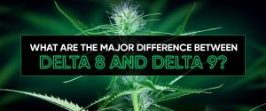 What is the Major Difference Between Delta 8 and Delta 9?