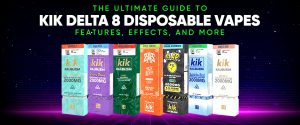 The Ultimate Guide to Kik Delta 8 Disposable Vapes Features, Effects, and More