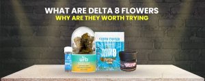 Delta 8 Flowers