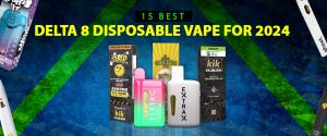 Best Delta 8 Disposable