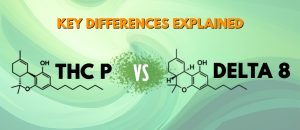 delta 8 vs thcp