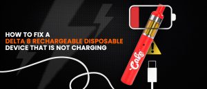 rechargeable disposable vape not charging