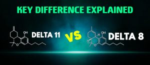 delta 8 vs delta 11