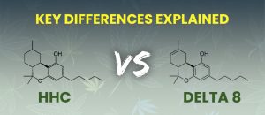 hhc vs delta 8