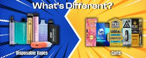 disposable vape vs cart