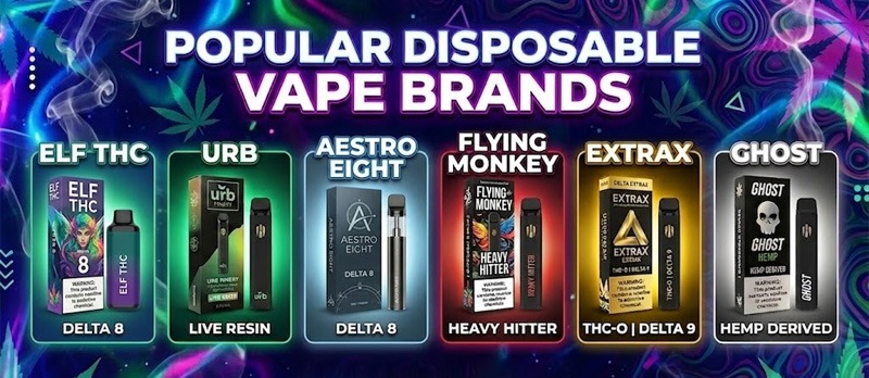 Popular disposable vape brands