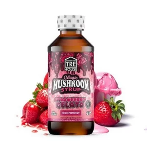 Alternative view of TRĒ House Magic Mushroom Blend Syrup