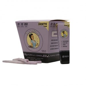 Blazy Susan Purple Cones 1PK