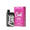 Cali Extrax THC-A THC-P Level Up Disposables – 5G