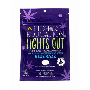 Alternative view of Higher Education Lights Out THC/Melatonin/Mushroom Blend Gummies