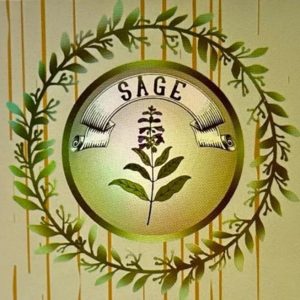 SAGE Smudge Sticks – 6CT - Image 4