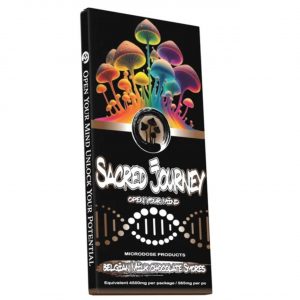 Sacred Journey Mushroom Chocolate Bar - Image 6