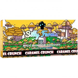 Alternative view of Silly Farms Magic Mushroom Chocolate Bar