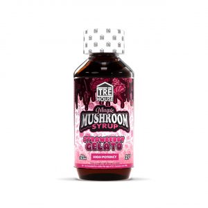 TRÄ’ House Magic Mushroom Blend Syrup