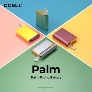 Alternative view of CCELL Palm Battery