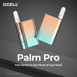 Alternative view of CCELL Palm Pro Battery