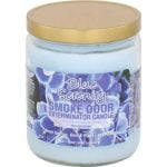 Smoke Odor 13oz Candle - Image 54