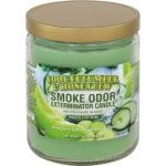 Smoke Odor 13oz Candle - Image 59