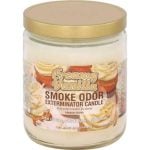 Smoke Odor 13oz Candle - Image 60