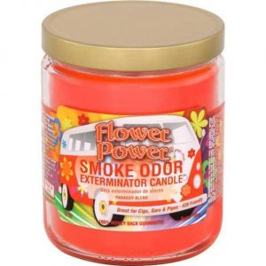 Smoke Odor 13oz Candle - Image 30