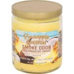 Smoke Odor 13oz Candle - Image 45