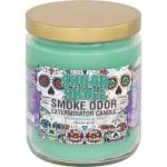 Smoke Odor 13oz Candle - Image 33