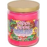 Smoke Odor 13oz Candle - Image 49